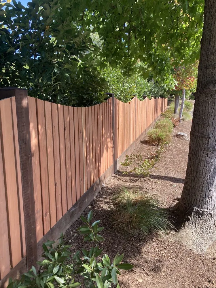 Top-rated landscape installation experts serving Vineburg, CA - Gomez Landscaping