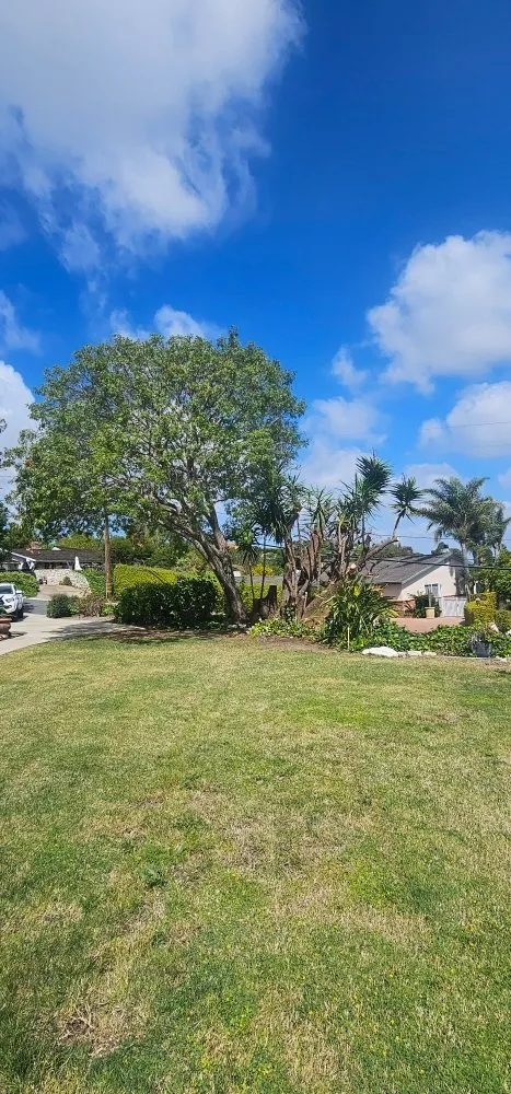 Local garden landscaping experts serving Wilmington, CA - Gomez Landscaping
