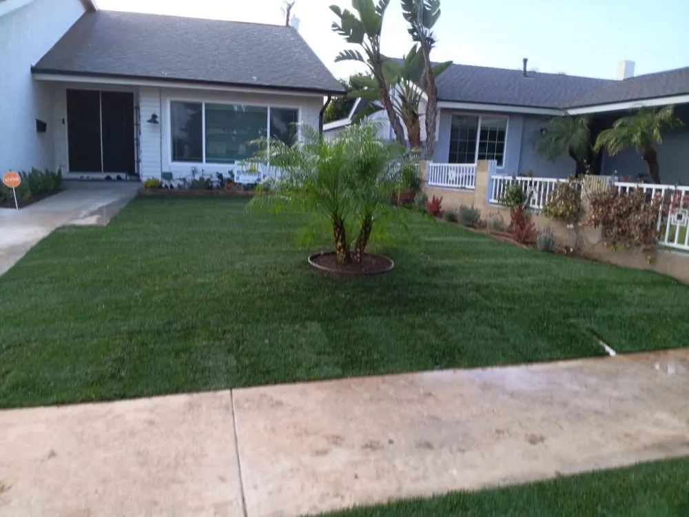 Affordable lawn mowing service for outdoor upgrades in Wilmington, CA by Gomez Landscaping