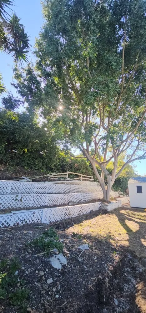 Local landscaping services experts serving Wilmington, CA - Gomez Landscaping