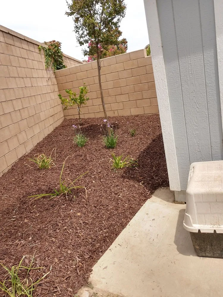 Trusted landscaping services in Riverside, CA - Gomez Lawn & Tree Service