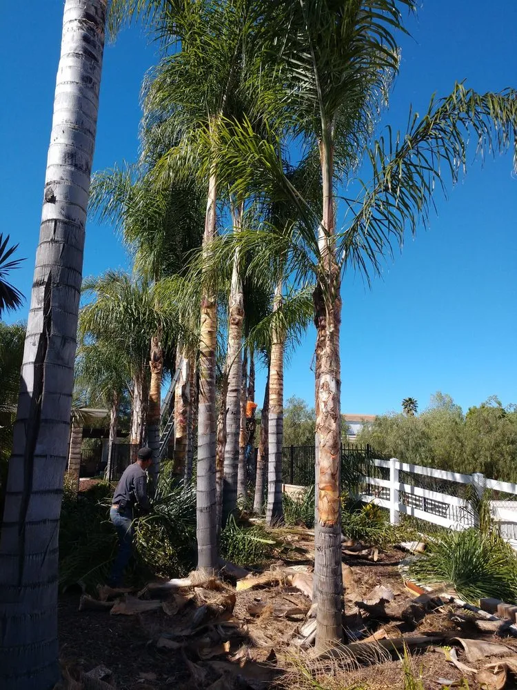 Top-rated lawn mowing service experts serving Riverside, CA - Gomez Lawn & Tree Service