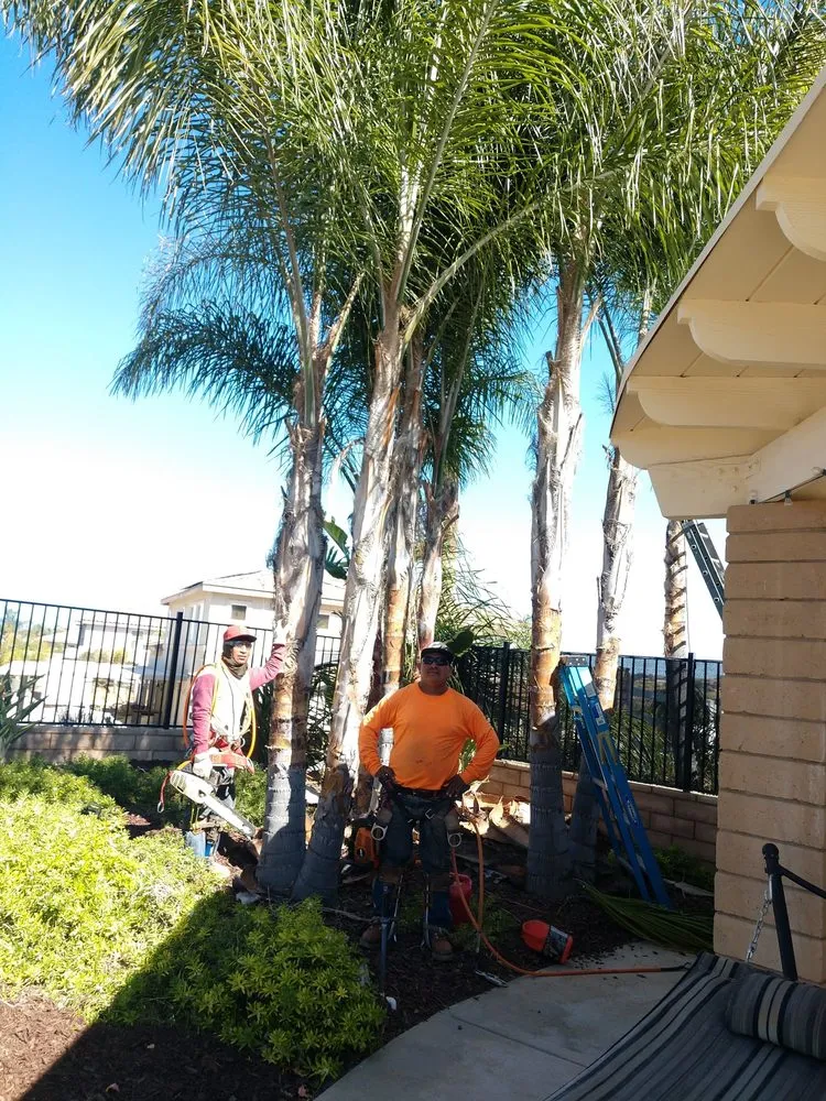 Affordable landscaping services near you across Riverside, CA - Gomez Lawn & Tree Service