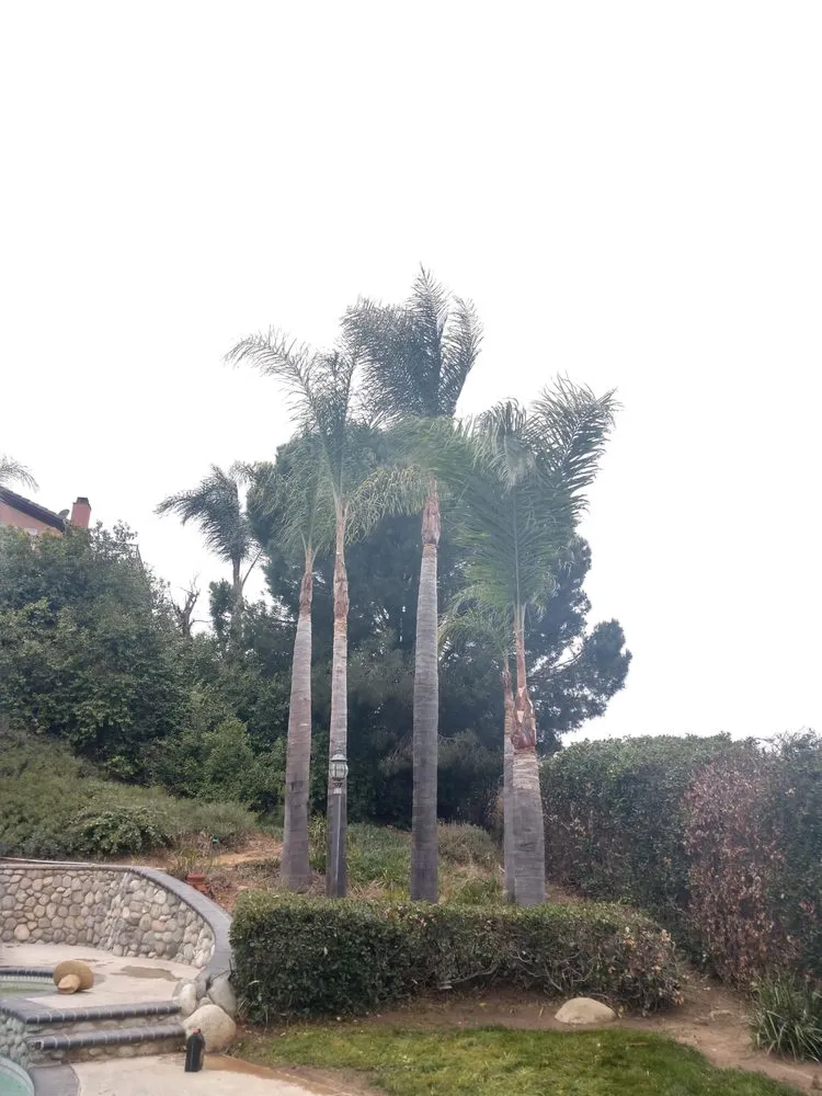 Local lawn mowing service in Riverside, CA - Gomez Lawn & Tree Service