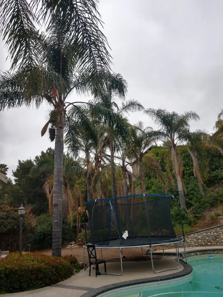 Professional landscaping services in Riverside, CA by Gomez Lawn & Tree Service