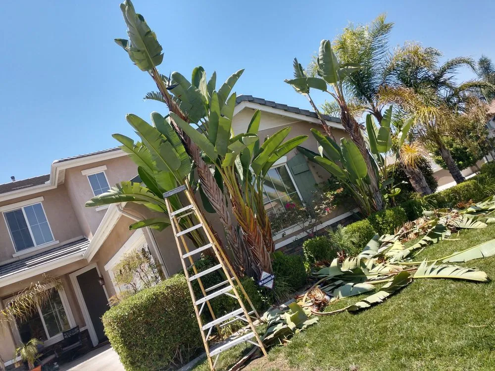 Trusted garden landscaping for outdoor upgrades across Riverside, CA - Gomez Lawn & Tree Service
