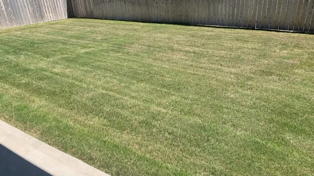 Professional landscaping services in Bryan, TX by Gomez Lawn Care