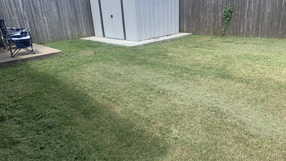 Custom lawn mowing service experts serving Bryan, TX - Gomez Lawn Care