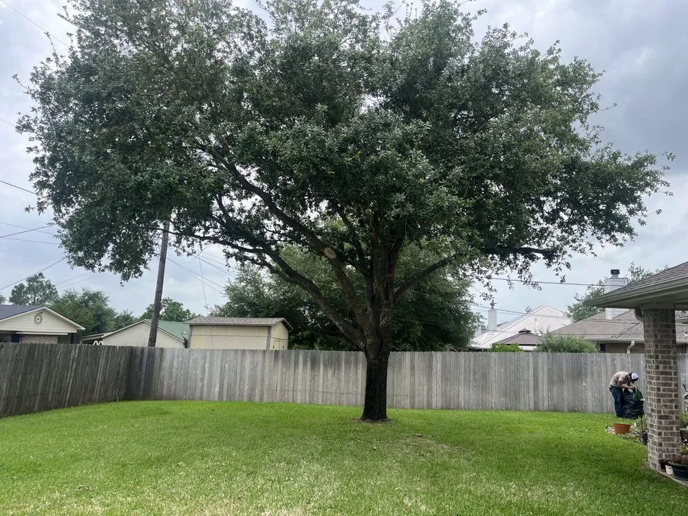 Custom outdoor landscaping for residential properties in Bryan, TX by Gomez Lawn Care