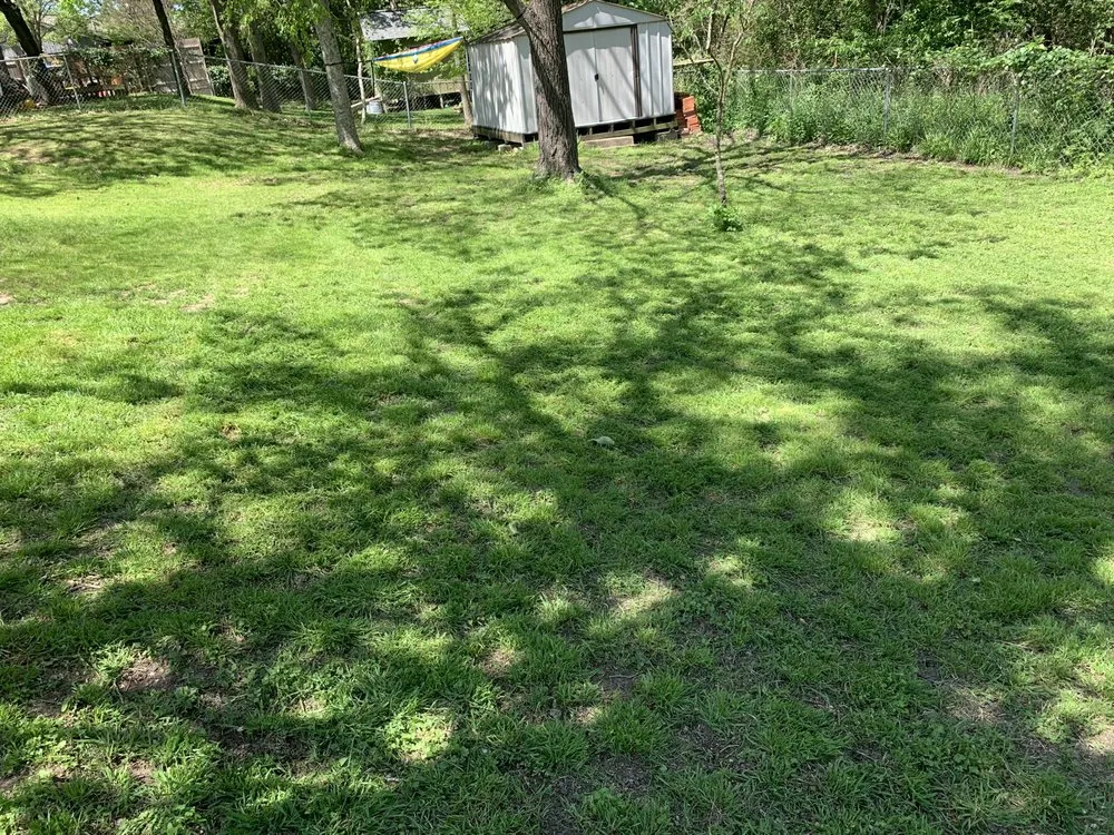 Top-rated yard maintenance in Bryan, TX by Gomez Lawn Care