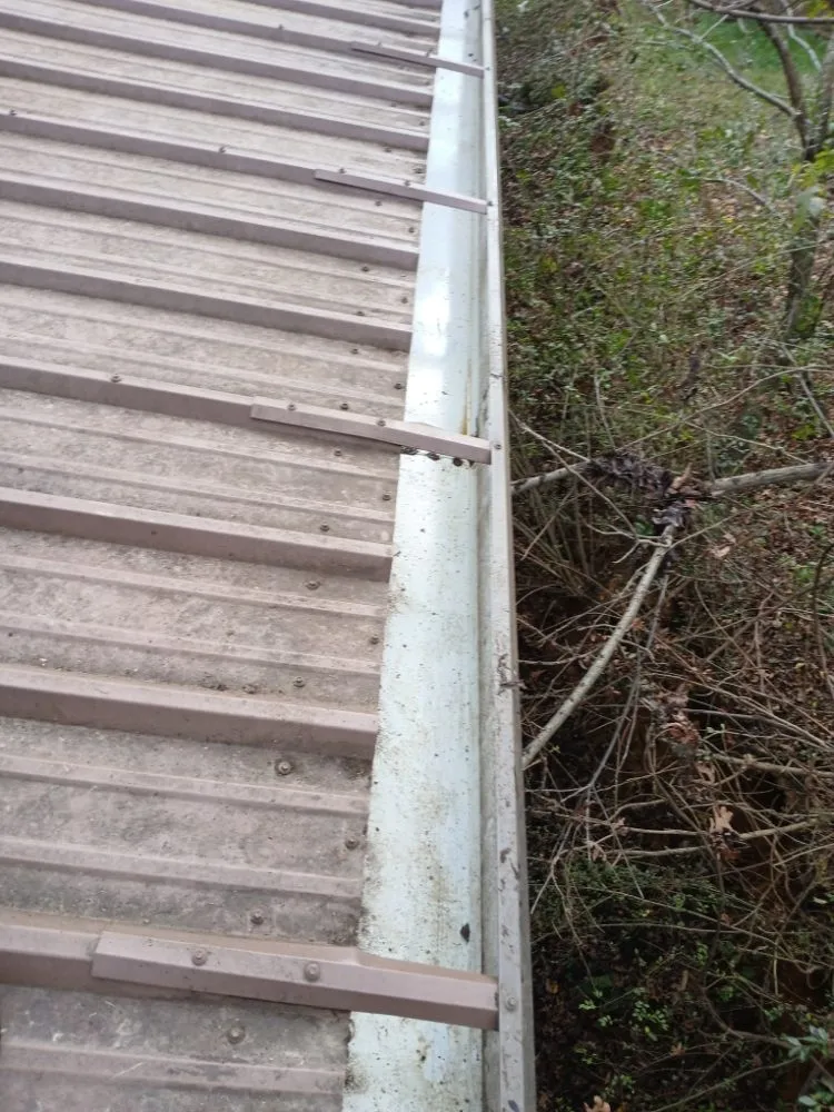 Professional lawn care service for beautiful yards across Hendersonville, NC - Gomez Lawn Care