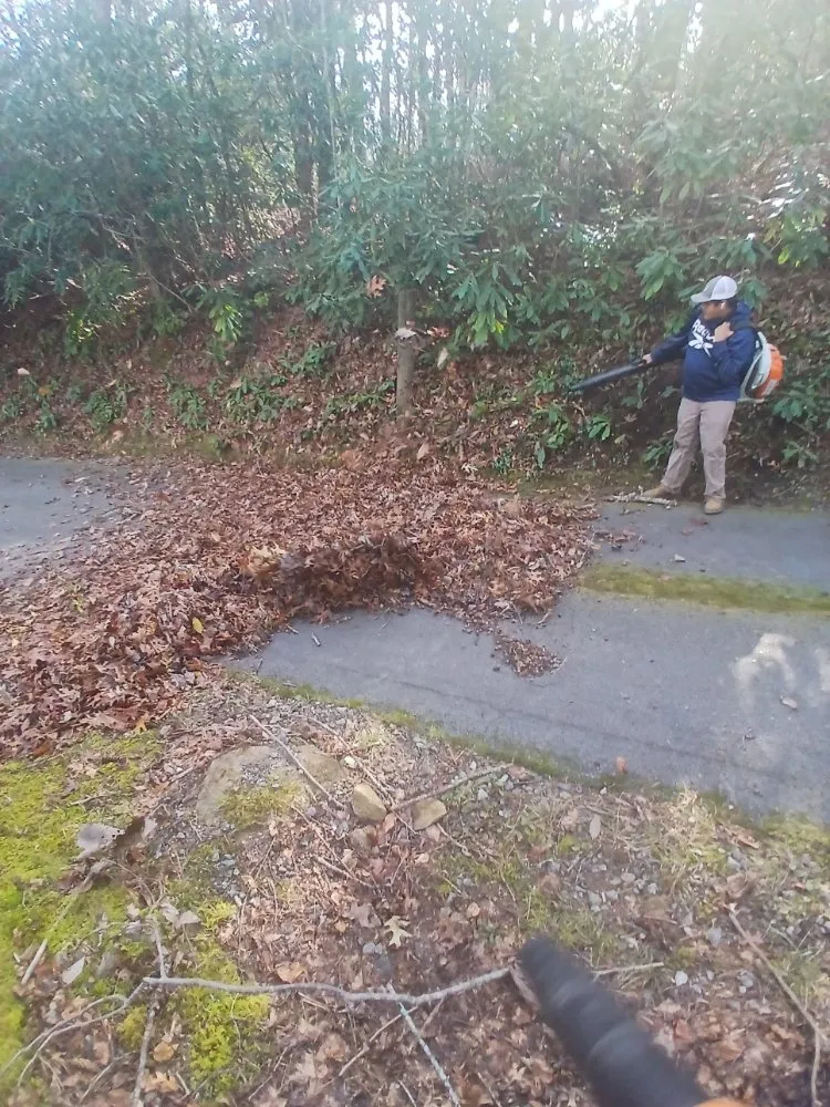 Expert yard maintenance experts serving Hendersonville, NC - Gomez Lawn Care