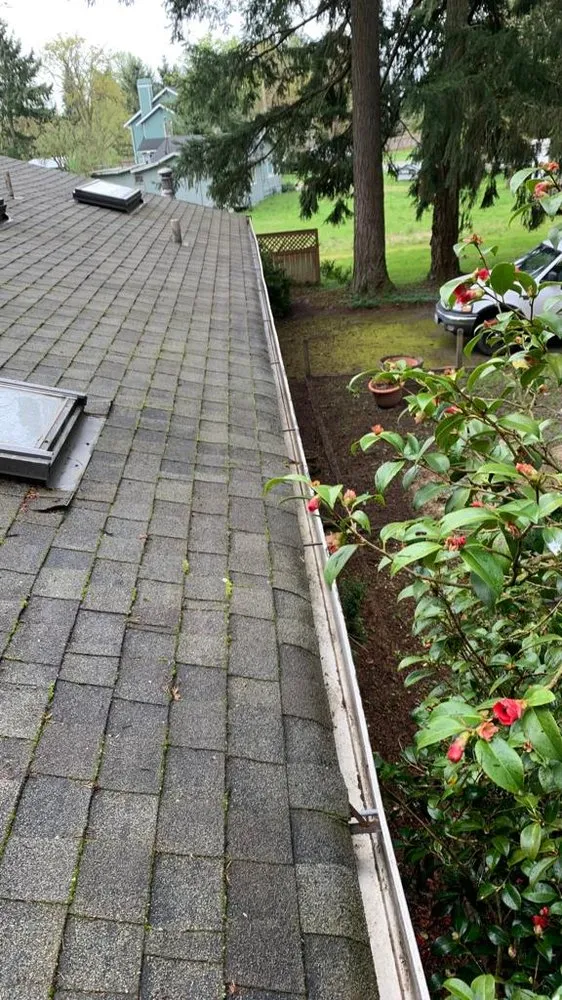 Expert garden landscaping for beautiful yards in Belfair, WA by Gomez Lawn Care Services and Maintenance