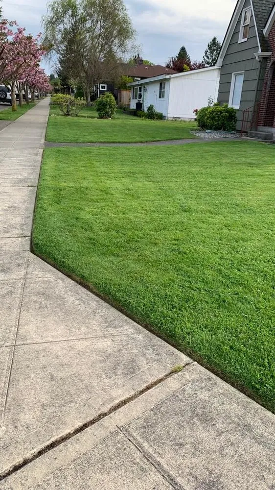 Professional outdoor landscaping in Belfair, WA - Gomez Lawn Care Services and Maintenance