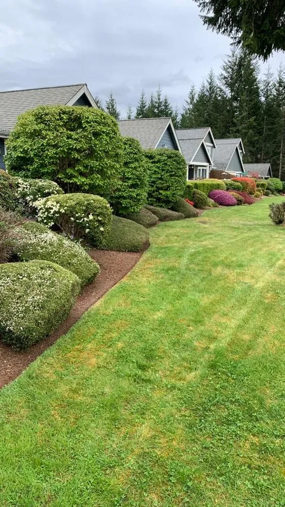 Professional garden landscaping in Belfair, WA - Gomez Lawn Care Services and Maintenance