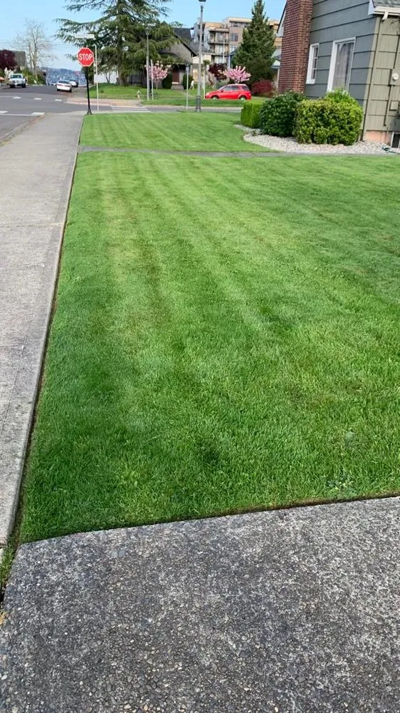Trusted yard maintenance for homes across Belfair, WA - Gomez Lawn Care Services and Maintenance