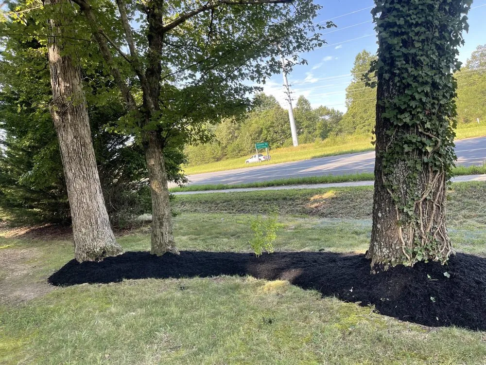 Local landscape design in White Post, VA - Gomez lawn care services