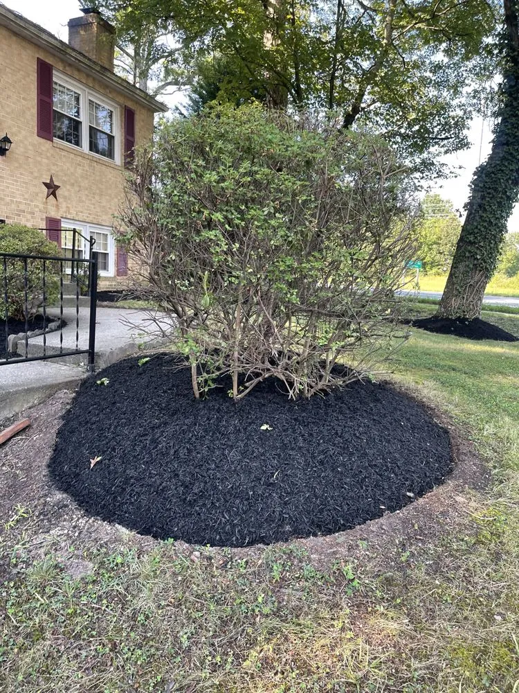 Expert lawn care service for outdoor upgrades across White Post, VA - Gomez lawn care services