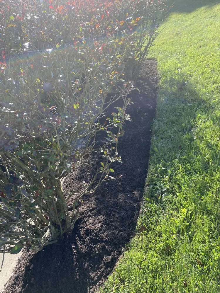 Trusted landscape installation experts serving White Post, VA - Gomez lawn care services