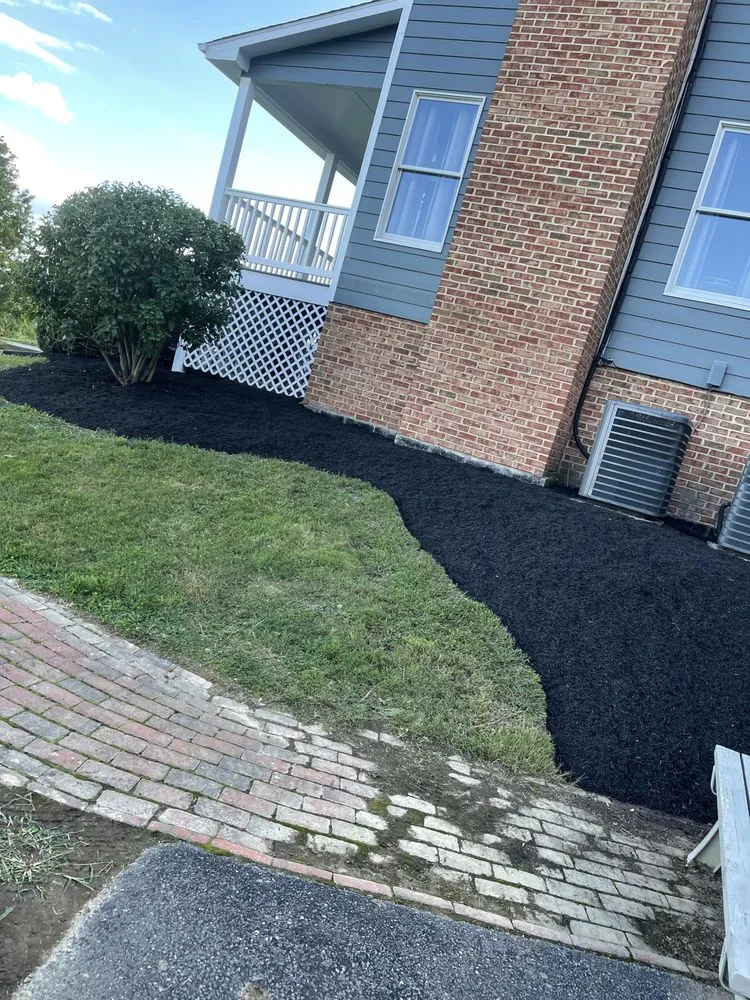 Professional yard cleanup service experts serving White Post, VA - Gomez lawn care services