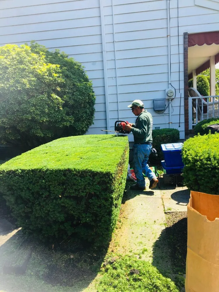 Top-rated lawn care service in East Brunswick, NJ by Gomez Lawn Landscaping