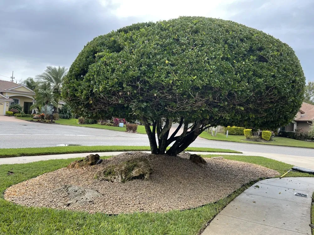 Top-rated lawn mowing service for residential properties across Sarasota, FL - Gomez Lawn Service