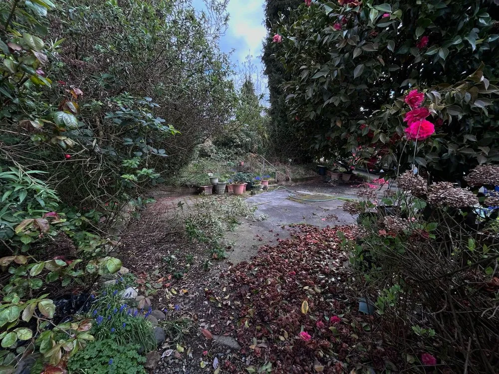 Local lawn mowing service in Shelton, WA by Gomez Law'n Service