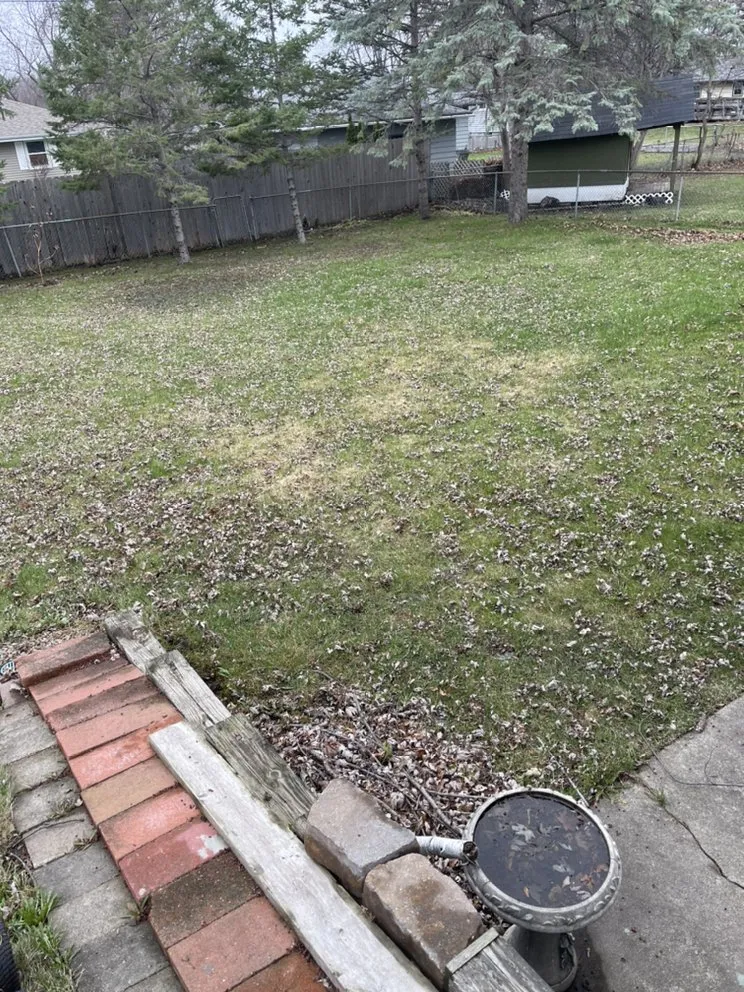 Local garden landscaping for year-round maintenance in Coon Rapids, MN by Gomez Lawncare And Snow Removal