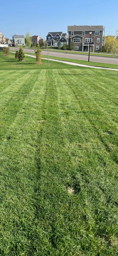 Top-rated outdoor landscaping for residential properties across Coon Rapids, MN - Gomez Lawncare And Snow Removal