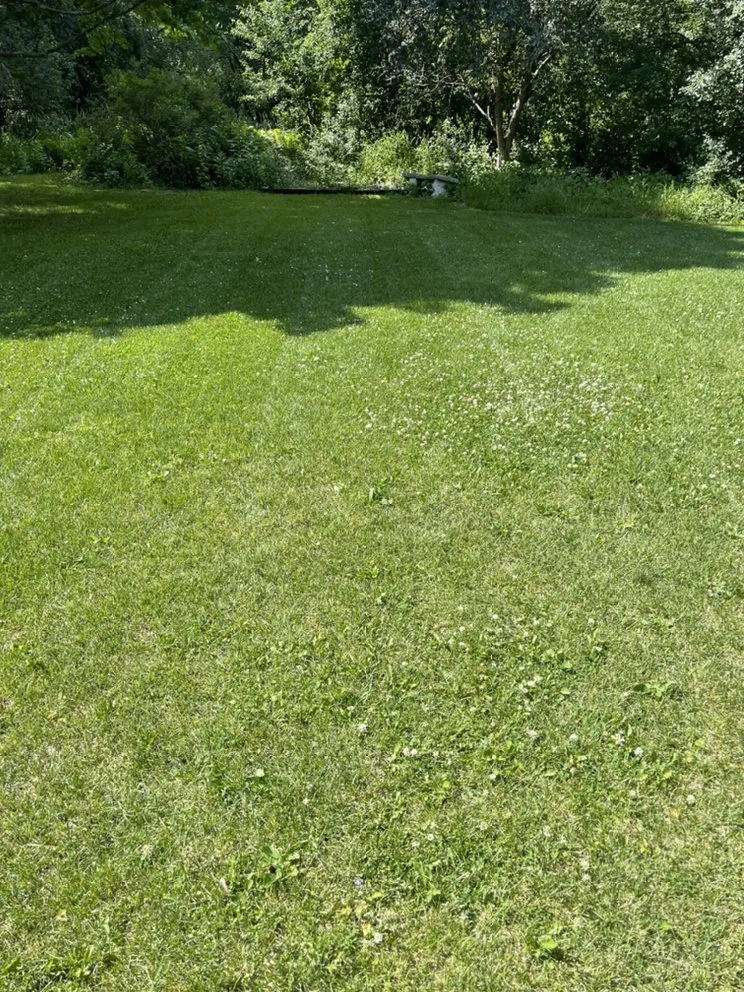 Affordable lawn mowing service for outdoor upgrades in Coon Rapids, MN by Gomez Lawncare And Snow Removal
