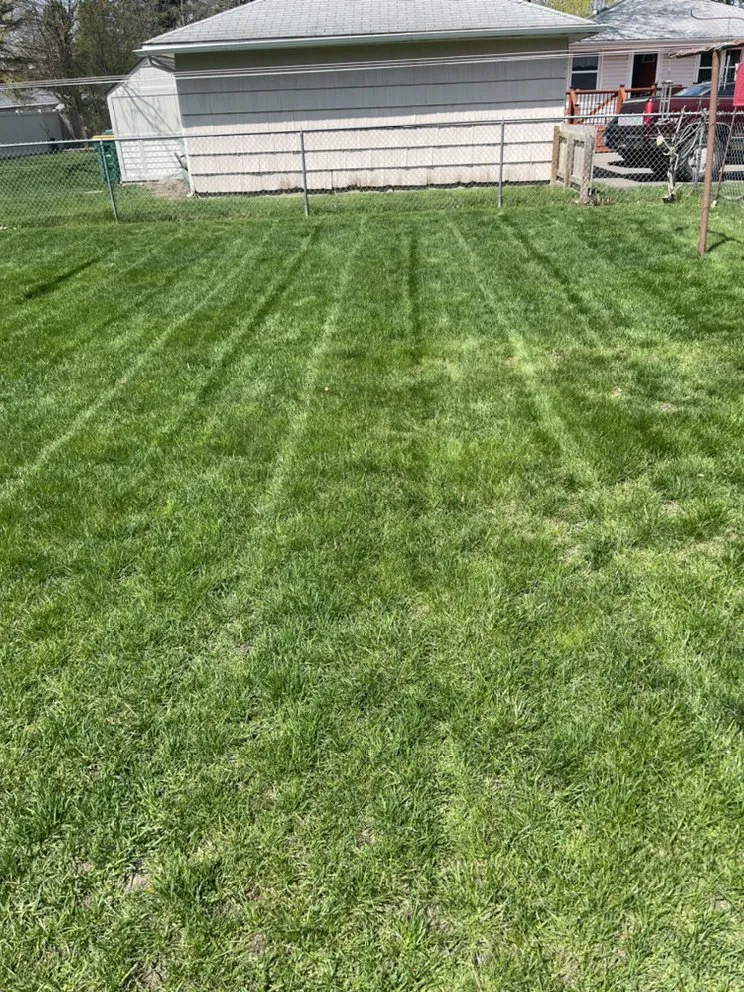 Professional landscape design in Coon Rapids, MN by Gomez Lawncare And Snow Removal