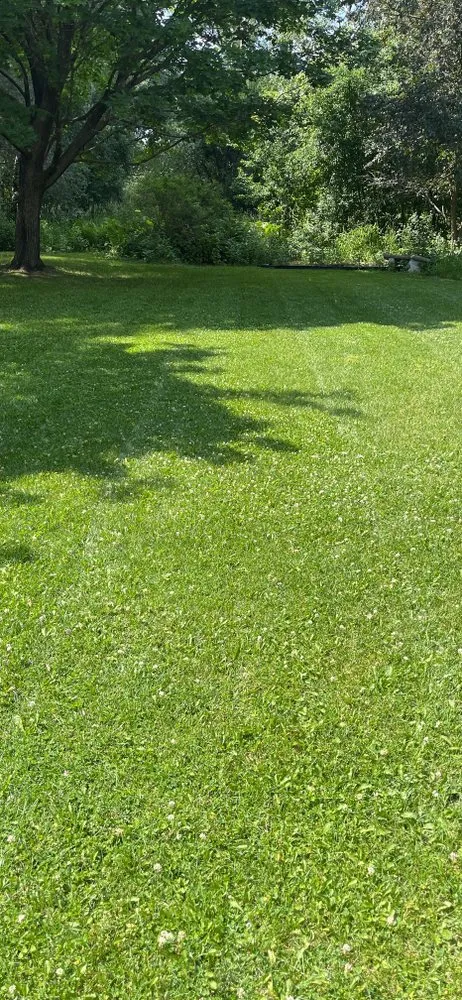 Trusted landscaping services for residential properties across Coon Rapids, MN - Gomez Lawncare And Snow Removal