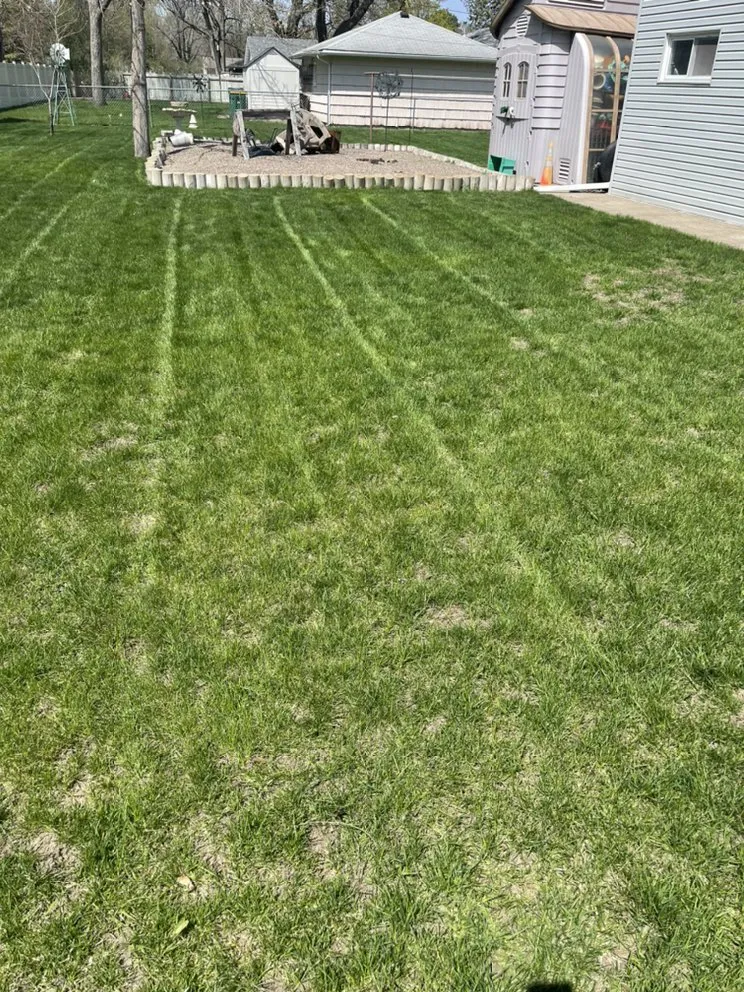 Professional lawn mowing service in Coon Rapids, MN by Gomez Lawncare And Snow Removal