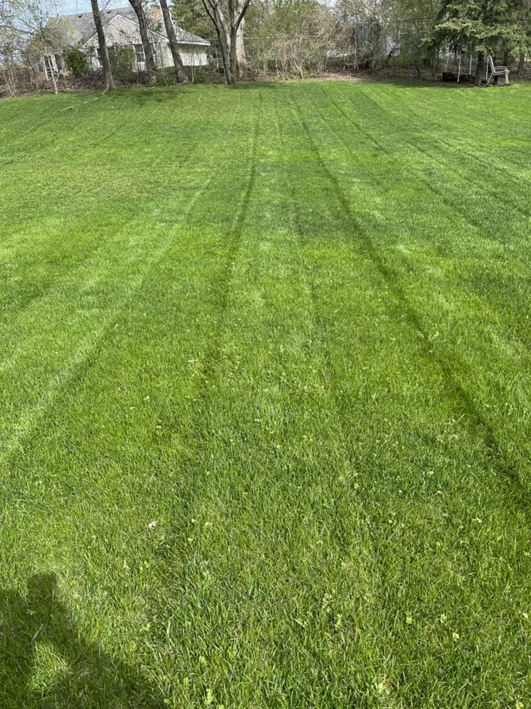 Local landscaping services in Coon Rapids, MN by Gomez Lawncare And Snow Removal