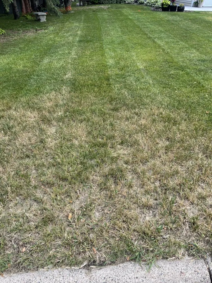 Expert outdoor landscaping for year-round maintenance in Coon Rapids, MN by Gomez Lawncare And Snow Removal