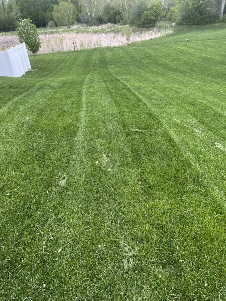 Professional garden landscaping experts serving Coon Rapids, MN - Gomez Lawncare And Snow Removal