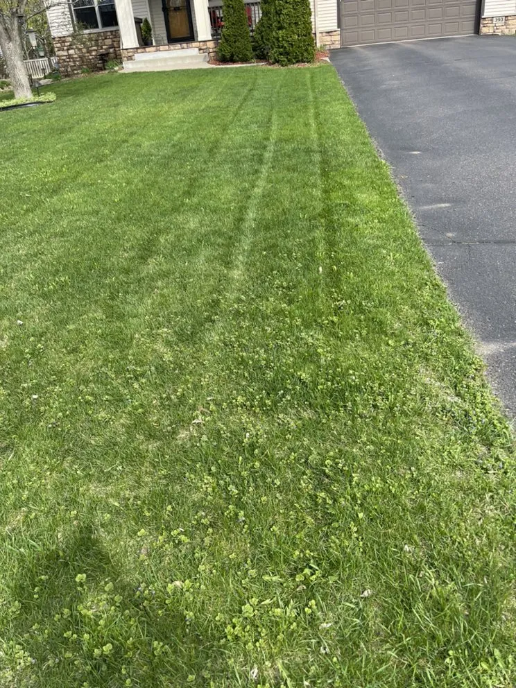 Professional garden landscaping for homes in Coon Rapids, MN by Gomez Lawncare And Snow Removal