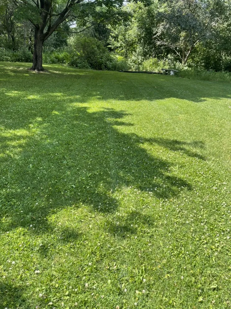 Trusted outdoor landscaping in Coon Rapids, MN - Gomez Lawncare And Snow Removal