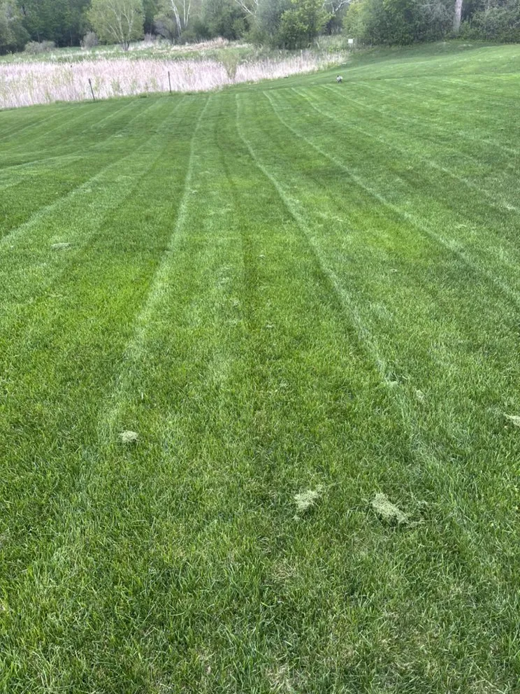 Top-rated residential landscaping for beautiful yards across Coon Rapids, MN - Gomez Lawncare And Snow Removal