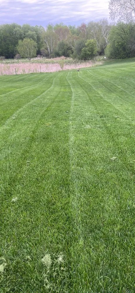 Custom yard maintenance in Coon Rapids, MN - Gomez Lawncare And Snow Removal