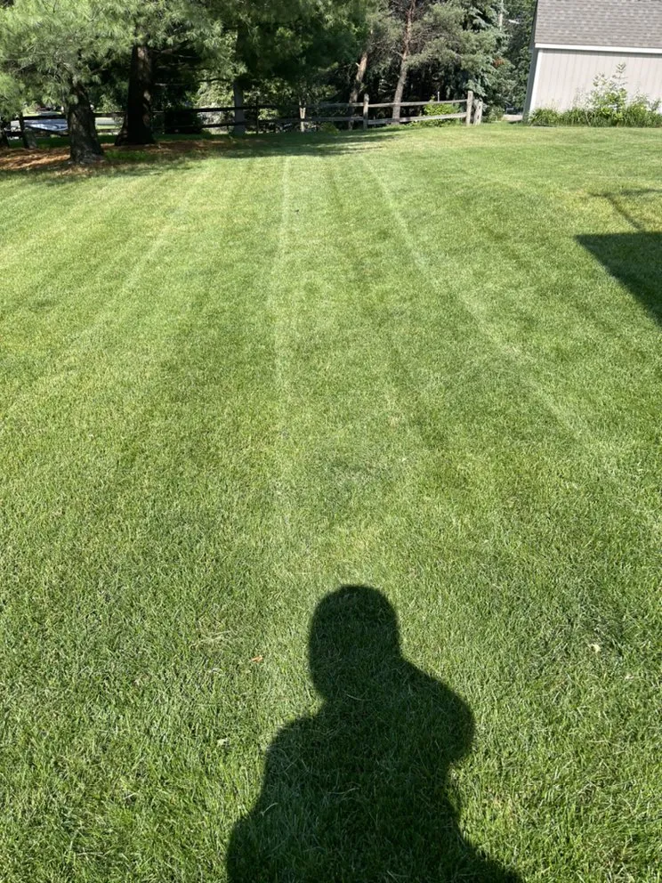 Reliable yard maintenance for residential properties across Coon Rapids, MN - Gomez Lawncare And Snow Removal