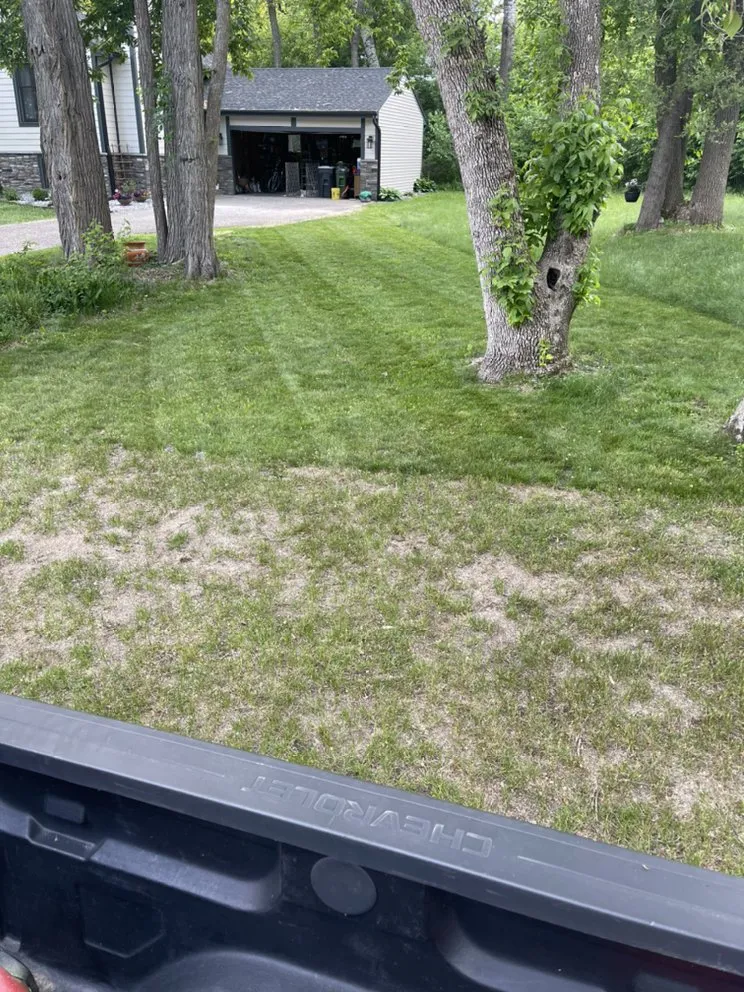 Local yard cleanup service with custom design across Coon Rapids, MN - Gomez Lawncare And Snow Removal