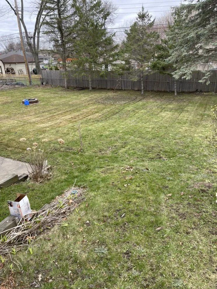 Custom yard maintenance in Coon Rapids, MN by Gomez Lawncare And Snow Removal