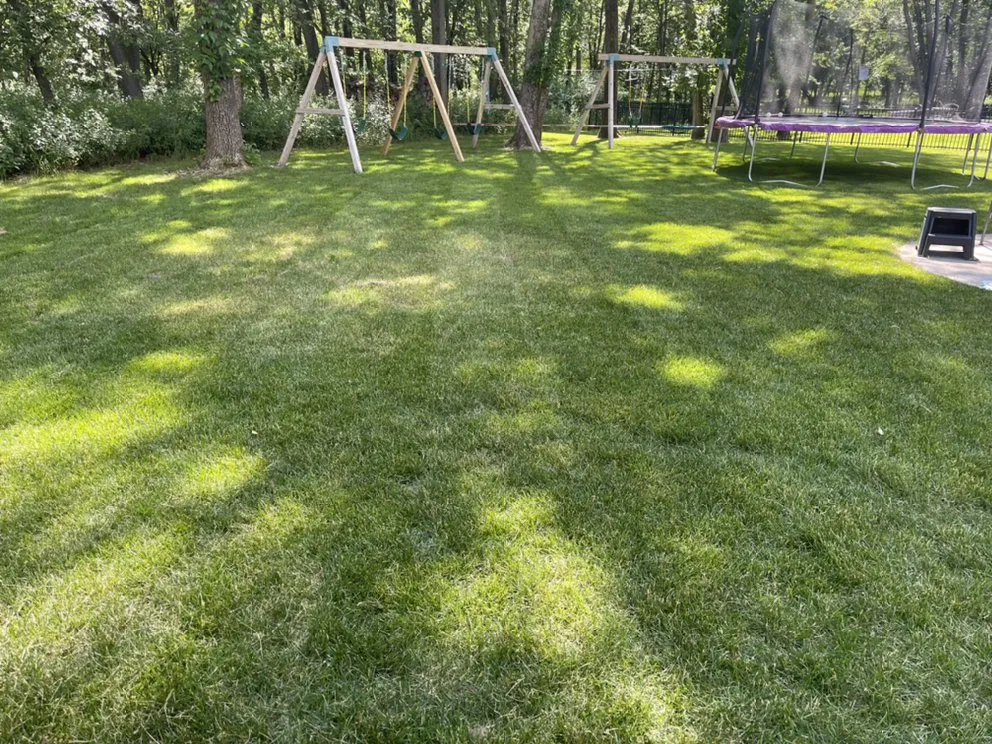 Custom landscaping services in Coon Rapids, MN by Gomez Lawncare And Snow Removal