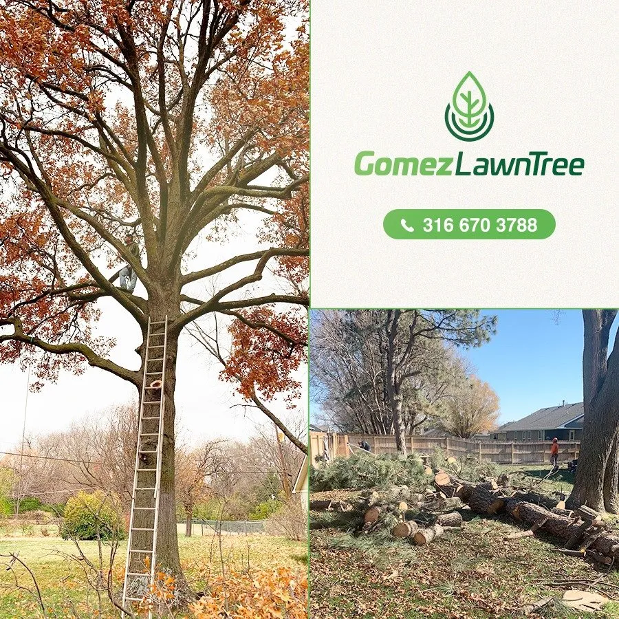 Reliable lawn mowing service experts serving Wichita, KS - Gomez Lawntree