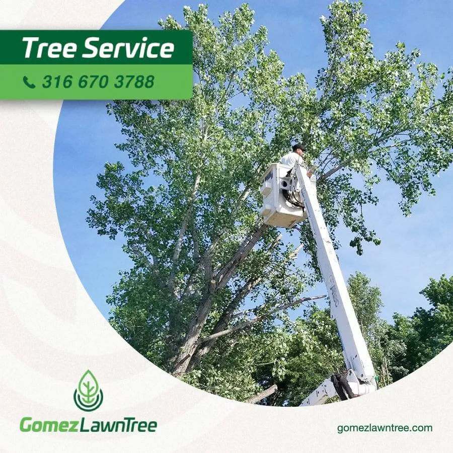 Reliable landscape installation in Wichita, KS by Gomez Lawntree