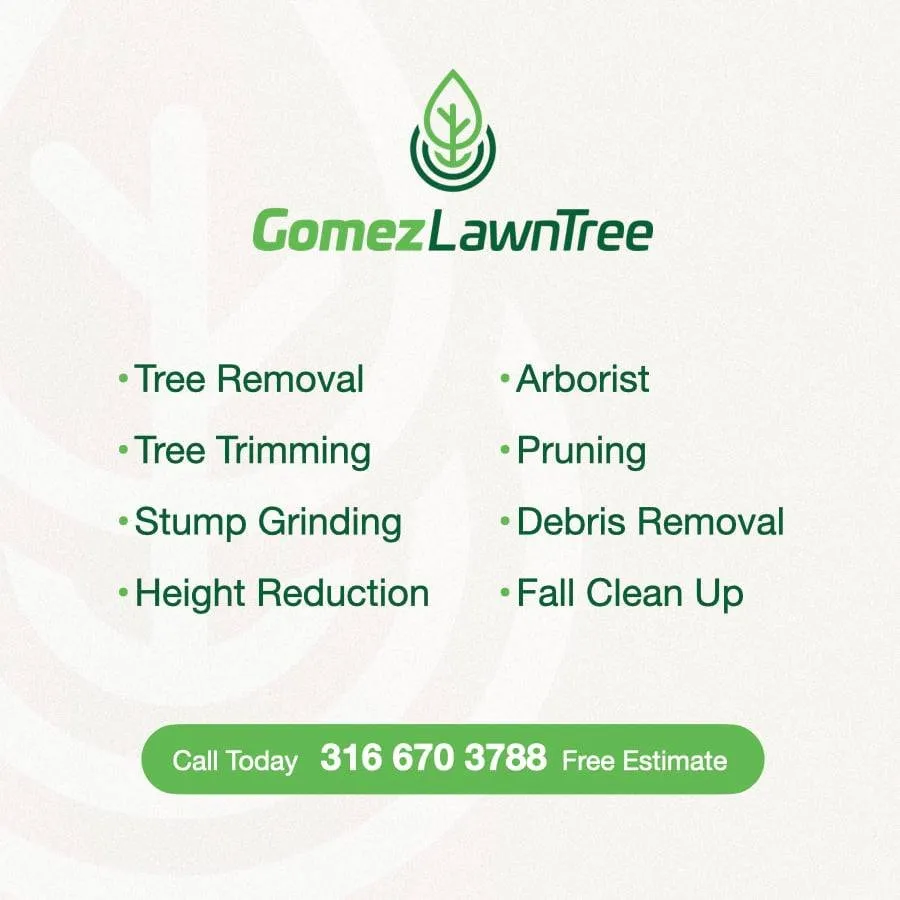 Trusted lawn mowing service in Wichita, KS by Gomez Lawntree