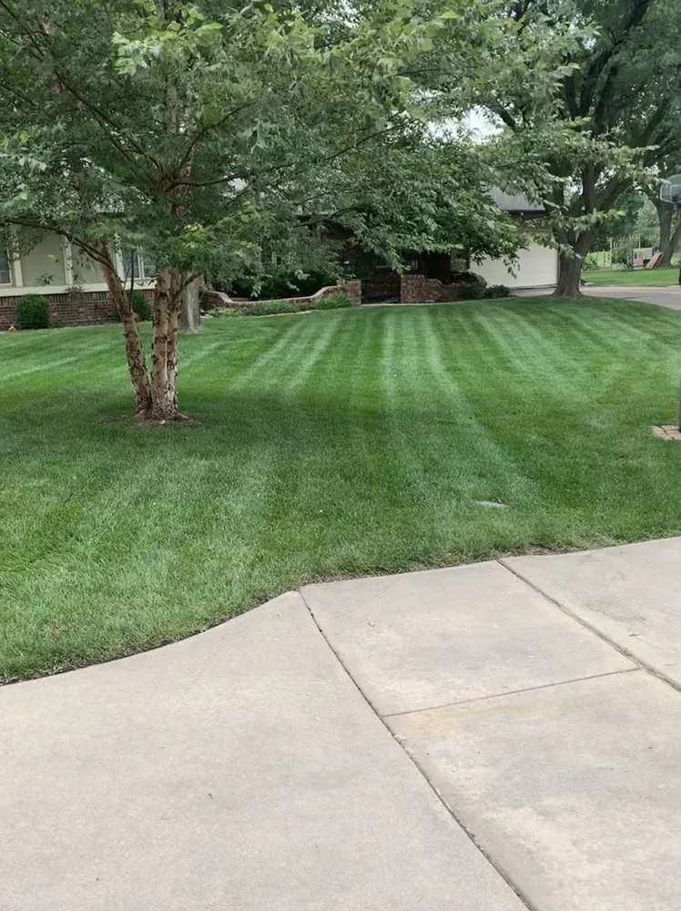 Local lawn care service experts serving Wichita, KS - Gomez Lawntree
