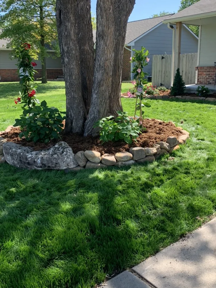 Professional lawn care service in Wichita, KS - Gomez Lawntree