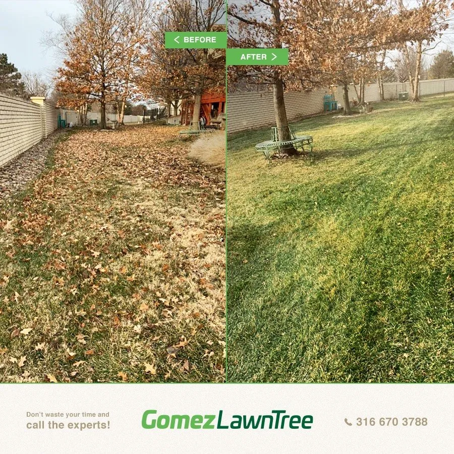 Trusted lawn mowing service in Wichita, KS - Gomez Lawntree